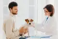 El precio oculto de tu mejor amigo: cuánto cuesta realmente una mascota (y por qué nadie te lo dice)